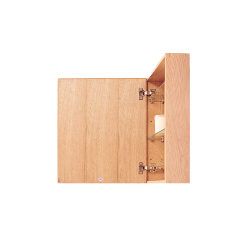 OROA Slimline Surface Mount Framed 1 Door Medicine with 2